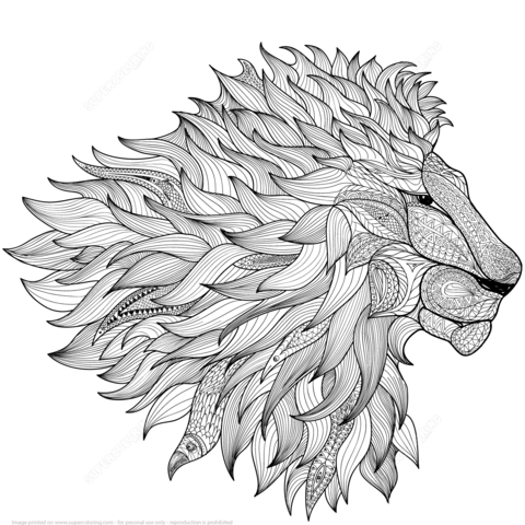 Lion Zentangle Coloring Page